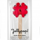 5-march_jollypop_garden-berry-lollipop_package