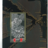 Shinsuke Minegishi. Dėžėje: rėmelis. 2011, popierius, medžio raižinys, 38 x 28