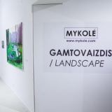 Mykolės tapybos darbų parodos „Gamtovaizdis” ekspozicijos fragmentas. Nerijaus Jankausko nuotr.