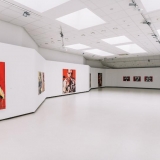 Virginijaus Viningo retrospektyvinė tapybos paroda „Trys dešimtmečiai“ iškeliauja į laisvę. Domo Rimeikos nuotr.