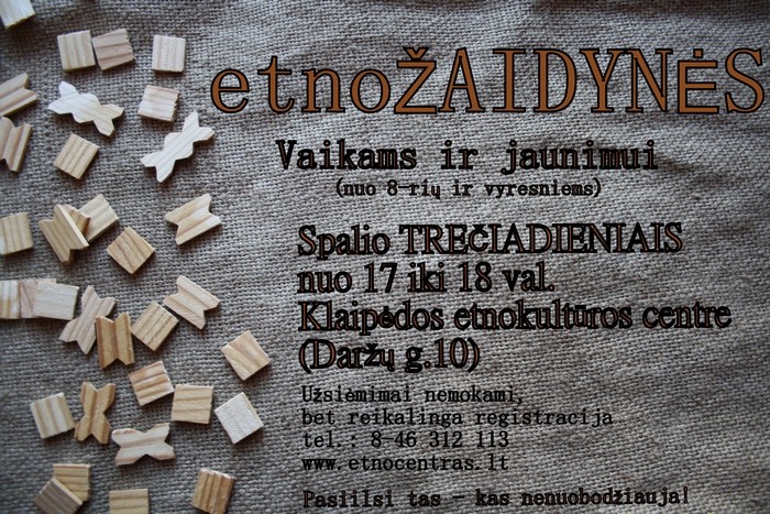 Etnozaidynes