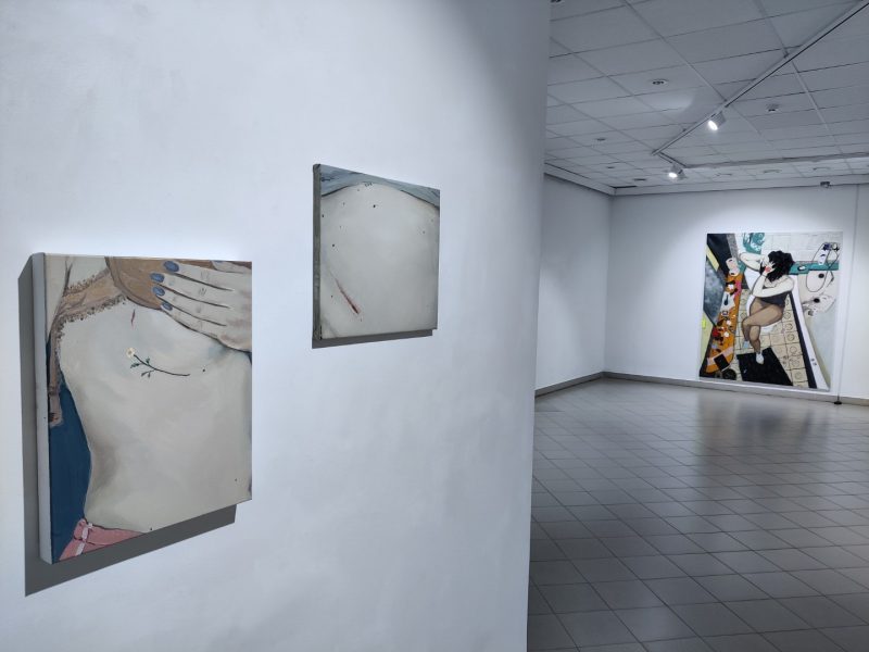 Vitos Opolskytės ir Kazimiero Brazdžiūno parodos „X / Y“ ekspozicijos fragmentas. Nerijaus Jankausko nuotr.