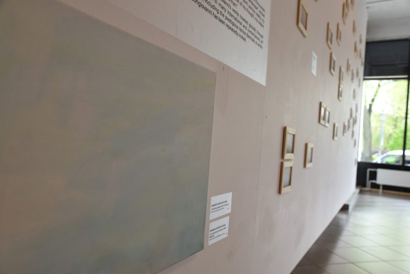 Daniele Bongiovanni parodos „Era / Ηρα“ ekspozicijos fragmentas. Ingridos Mockutės-Pocienės nuotr.