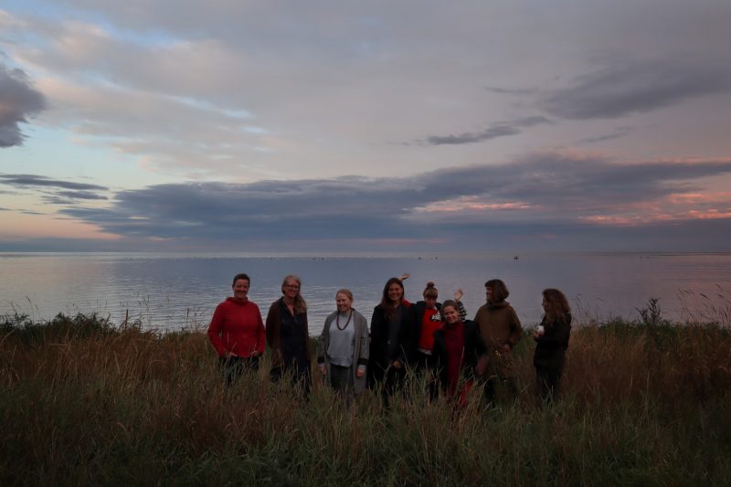 Projekto dalyvės (iš kairės): Aino Astrid Gaedtke, Maja Breife, Kajsa Wikström, Lauryna Kiškytė, Karina Kazlauskaitė, Wiebke Pandikow, Elli Hukka ir Ingrid Berg. Organizatorių archyvo nuotr.