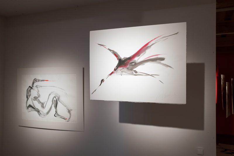 Jūratės Stauskaitės paroda „Paukščiai. Piešiniai, 1990–2022“. Gintarės Grigėnaitės nuotr.