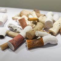 Danius Drulys. Nuorūkos. 2022, 230 vnt., instaliacija, medis, plastikas, klijai, dažai, popierius. Ingridos Mockutės-Pocienės nuotr.